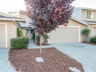 720 Russett Ter, Sunnyvale, CA 94087-1214