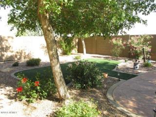 7623 Springfield Way, Florence, AZ 85132-6715