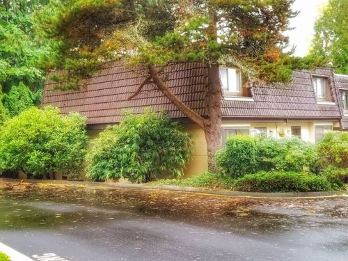 4518 176th St, Lynnwood, WA 98037-3494