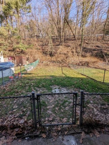 1009 Woods Run Ave, Pittsburgh, PA 15212-2049