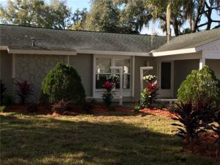 1307 Rustling Oaks Dr, Brandon, FL 33510-2358