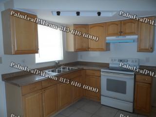 1153 Maybury Dr, Tarpon Springs FL  34691-5135 exterior