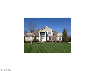 3608 Kalie Cir, Wadsworth, OH 44281-8339