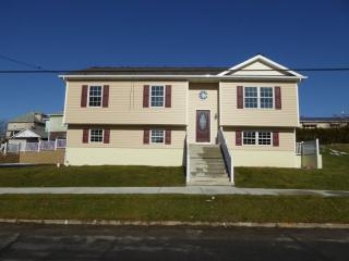 71 Lemon St, Oliphant Furnace, PA 15401-2949