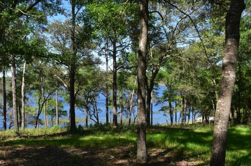 3515 Quail Ridge Dr, Sunny Hills FL  32428-5629 exterior