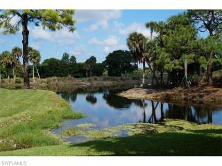 975 Palm View Dr, Naples FL  34110-1278 exterior