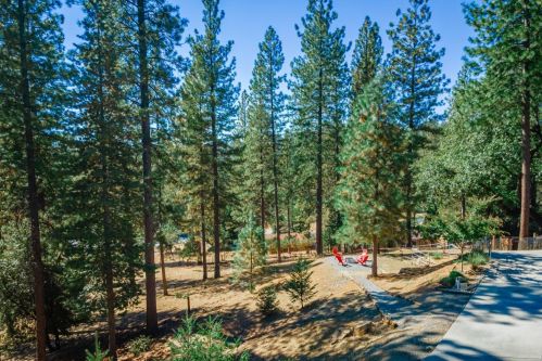 6466 Coe Ct, Michigan Bluff CA  95631-9663 exterior