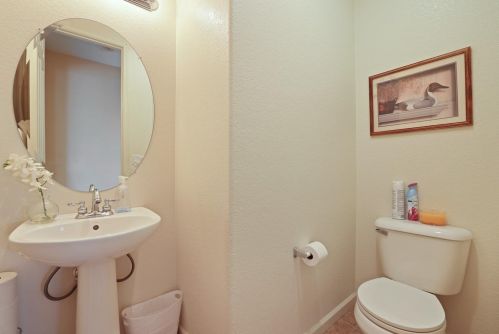 767 Red Barn Pl, Lathrop CA  95330-8975 exterior
