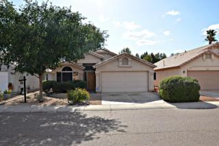18626 42nd St, Phoenix AZ  85032-6733 exterior