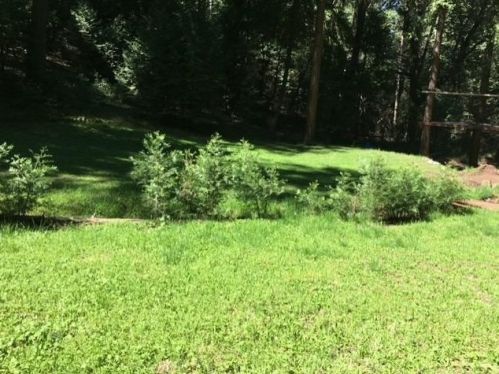 16199 Pioneer Creek Rd, Pioneer CA  95666-9415 exterior