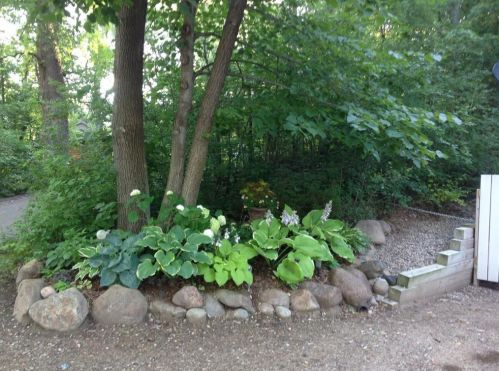 2945 County Road 4, Cokato MN  55321-4125 exterior