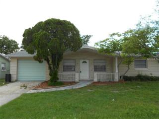 1313 Honor Dr, Tarpon Springs, FL 34690-5742