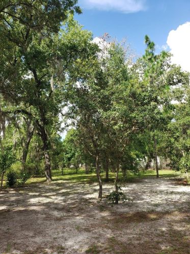 3168 Chameleon Pt, Crystal River FL  34428-5878 exterior