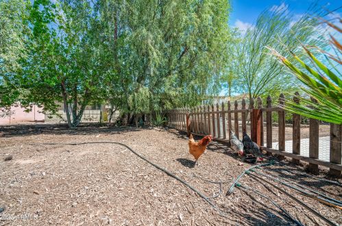 4150 18 Ave, Phoenix AZ 85015-3840 exterior