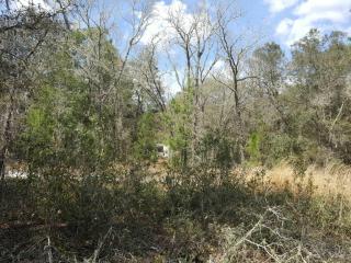 168 Poplar Dr, Interlachen, FL 32148-4106