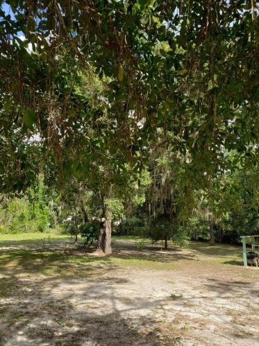3168 Chameleon Pt, Crystal River FL  34428-5878 exterior
