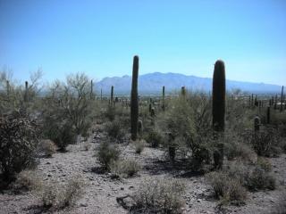 4829 Jojoba Dr, Tucson, AZ 85745-9410