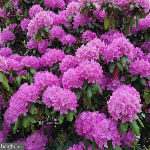 1139 Wilson Ave, Glen Mills PA  19342-9610 exterior