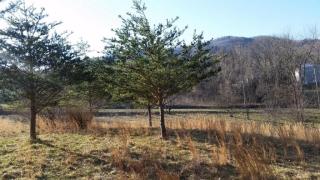 7614 Berganblick Ln, Roanoke, VA 24018-6715