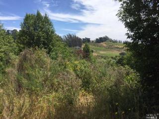 2420 Blucher Valley Rd, Sebastopol, CA
