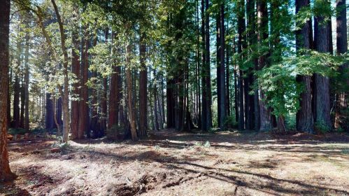 34900 Tock Ln, The Sea Ranch CA  95445-8567 exterior