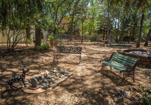 13982 Sun Forest Dr, Lake Wildwood CA  95946-9124 exterior