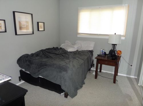 341 Anderson St, Crown Point IN  46307-3201 exterior