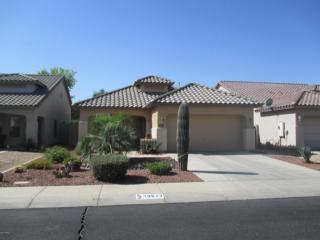13013 Sheila Ln, Avondale, AZ 85392-6689