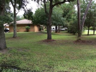 1011 Gilford St, Oldsmar, FL 34677-4702