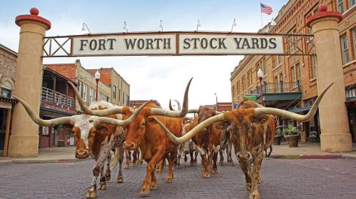 2569 High Crst Ave, Fort Worth TX 76111-1800 exterior