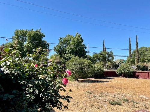 946 Fig Ln, Newman CA  95360-1106 exterior