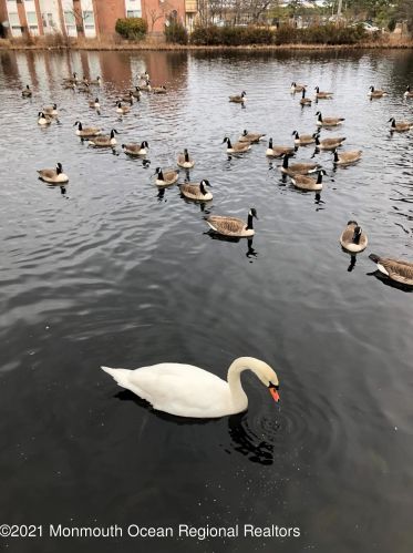 323 Lk Shr Dr, Bricktown NJ 08723-6013 exterior