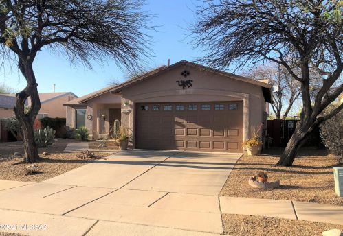 10029 Moonstruck Way, Tucson, AZ 85747-5156