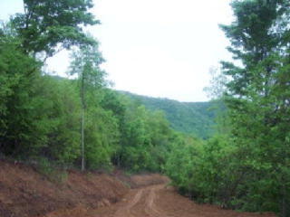 1 Three Top Rd, Brownwood, NC 28684