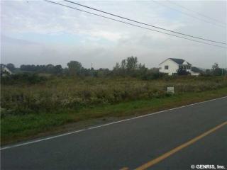 35 Woodruff Rd, Industry, NY 14543-9442