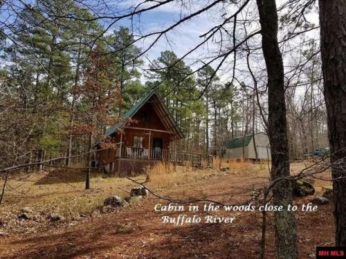 115 Grenelefe, Yellville, AR 72687-7984