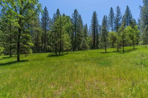 16580 Highway 26, Glencoe CA  95232-9712 exterior