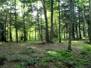 45 Corriedale Ln, Cottekill, NY 12419-5029