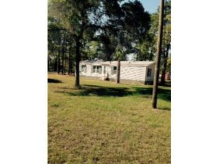 6641 Appian St, Homosassa, FL 34446-3455