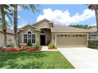 18620 Le Dauphine Pl, Lutz, FL 33558-2885