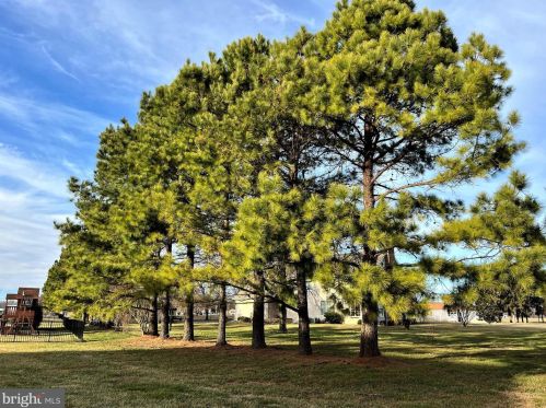 117 Spyglass Dr, Camden-Wy DE  19934-4640 exterior