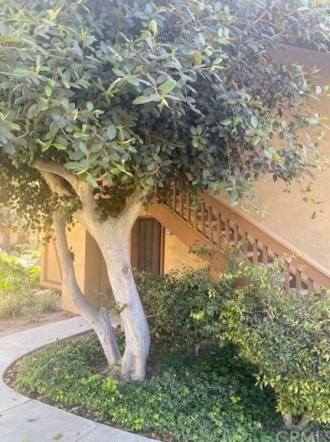 141 Lemon Grv, Irvine, CA 92618-4513