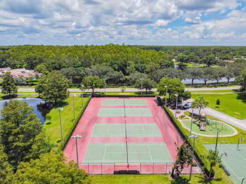 3664 Darston St, Palm Harbor FL  34685-1182 exterior