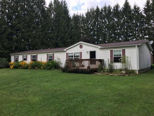 307 Beers Rd, Hallton, PA 15860-4607