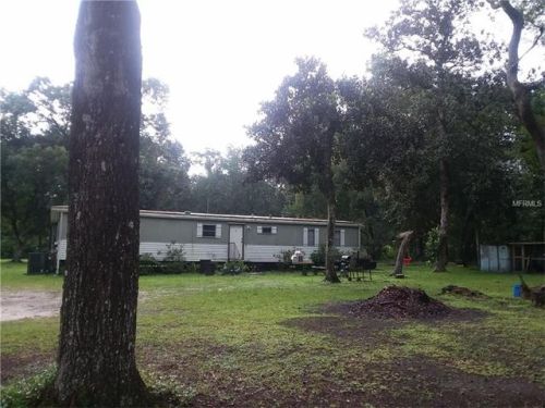 11451 185th Ter, Ocklawaha, FL 32179-4679