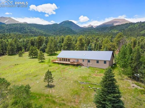 1446 Chalice Dr, Horn Creek, CO 81252-9606
