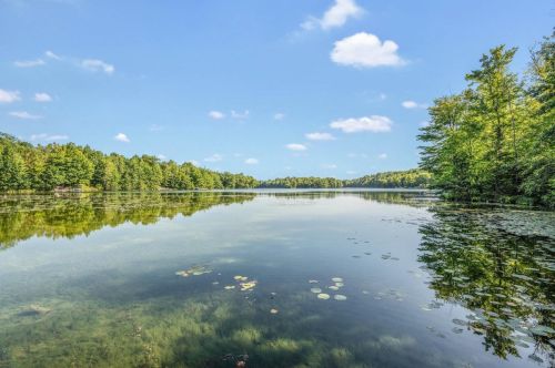 16185 Jesinski Rd, Mountain, WI 54149-9813