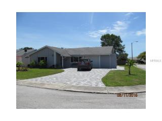 3641 Edenwood Dr, Tarpon Springs, FL 34691-1221