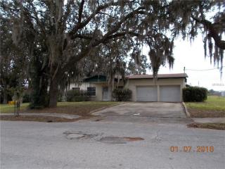13312 Georgia Ave, Astatula, FL 34705-9449