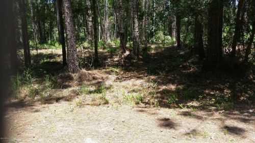 509 Gardenia Ave, Georgetown, FL 32139-2757